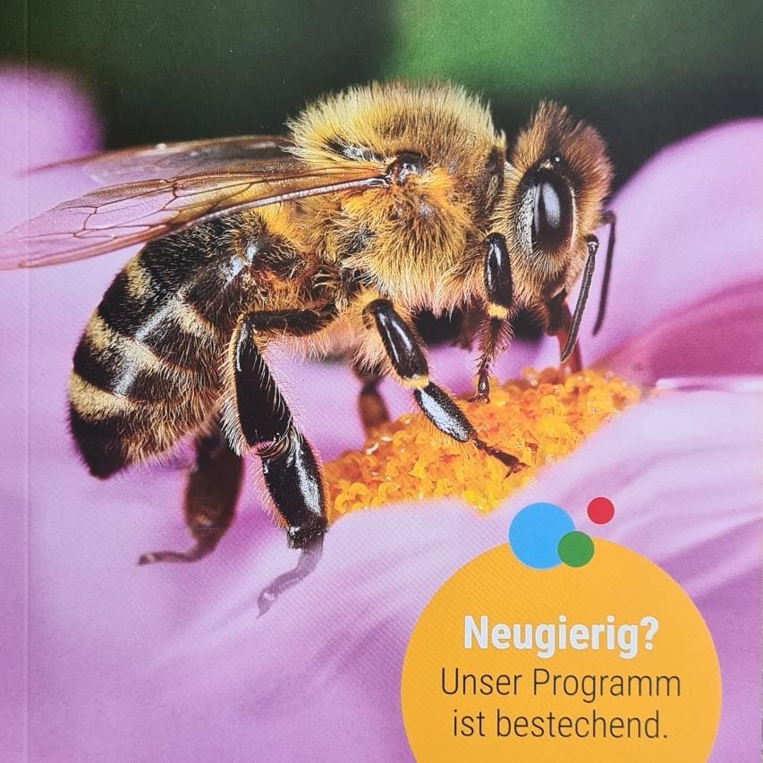 Sie sehen unser Titelbild vom Herbstheft 2022 mit einer Biene auf einer lila Blume 